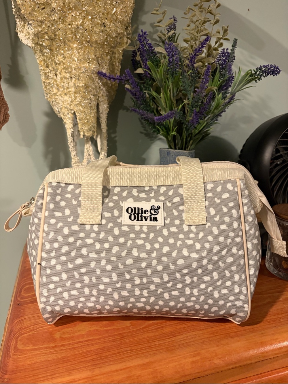 Insulated lunch bag